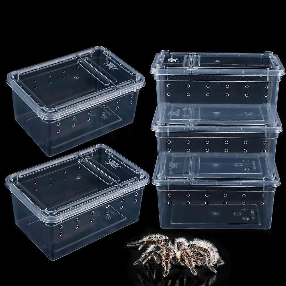 5 Pcs Spider Small Terrariums Breeding Box Transparent Hatching Container Feeding Plastic Box for Small Reptile Spider Scorpion Centipede Insect