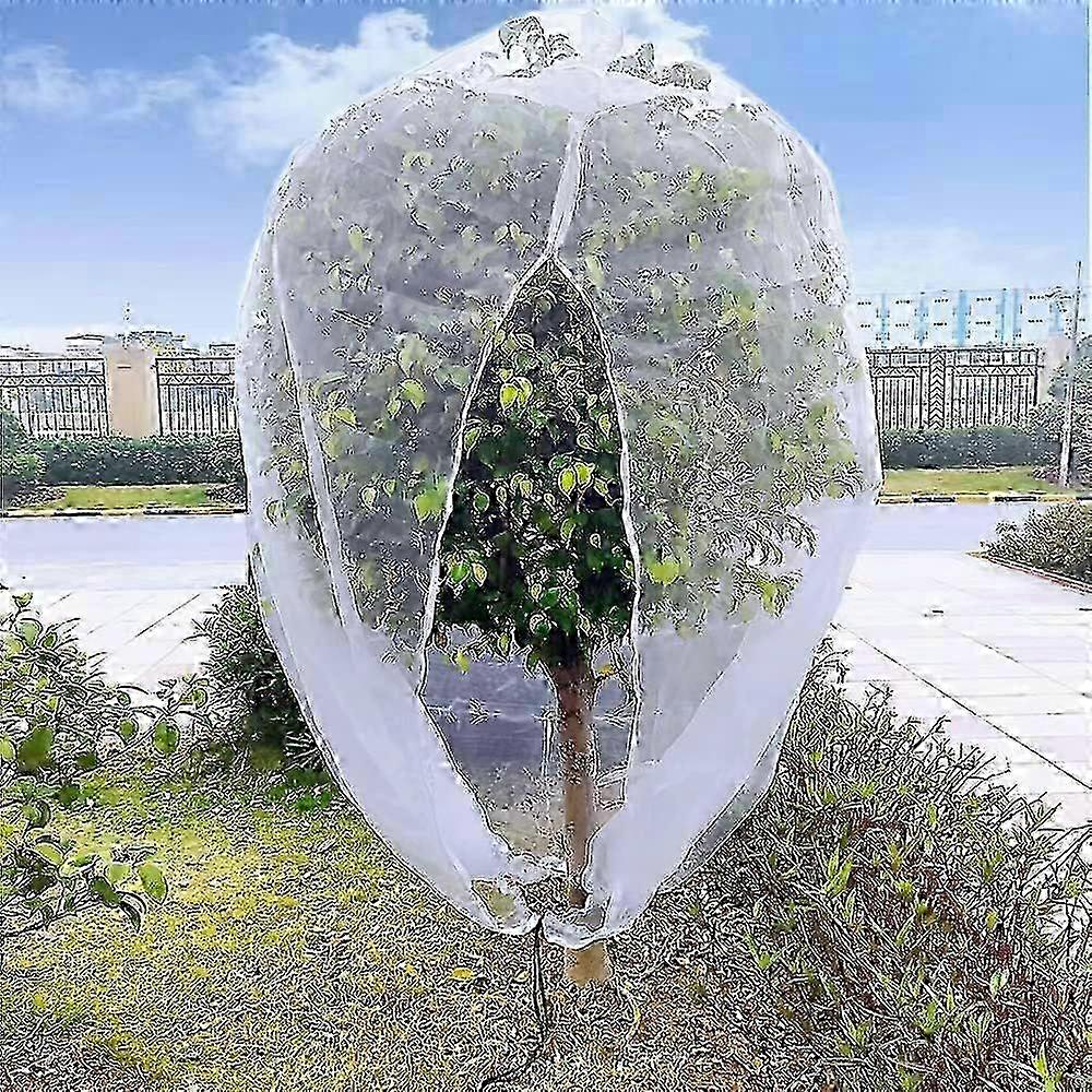 Grands sacs en filet pour arbres fruitiers de 10 pi x 10 pi, adaptés à la protection des myrtilles des oiseaux