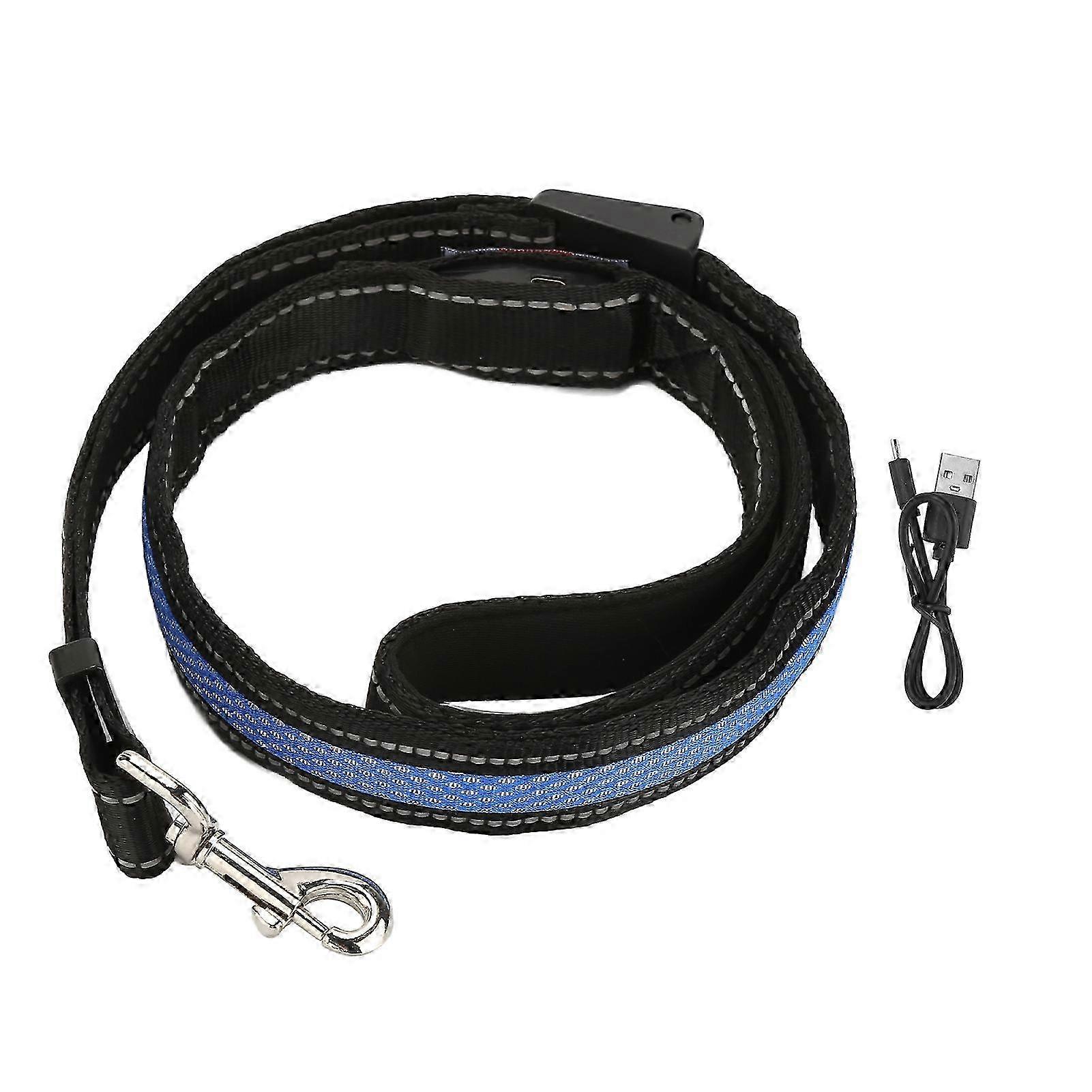 USB Charging LED Dog Leash with Breathable Design for Small and Medium Cats and Dogs - Blue