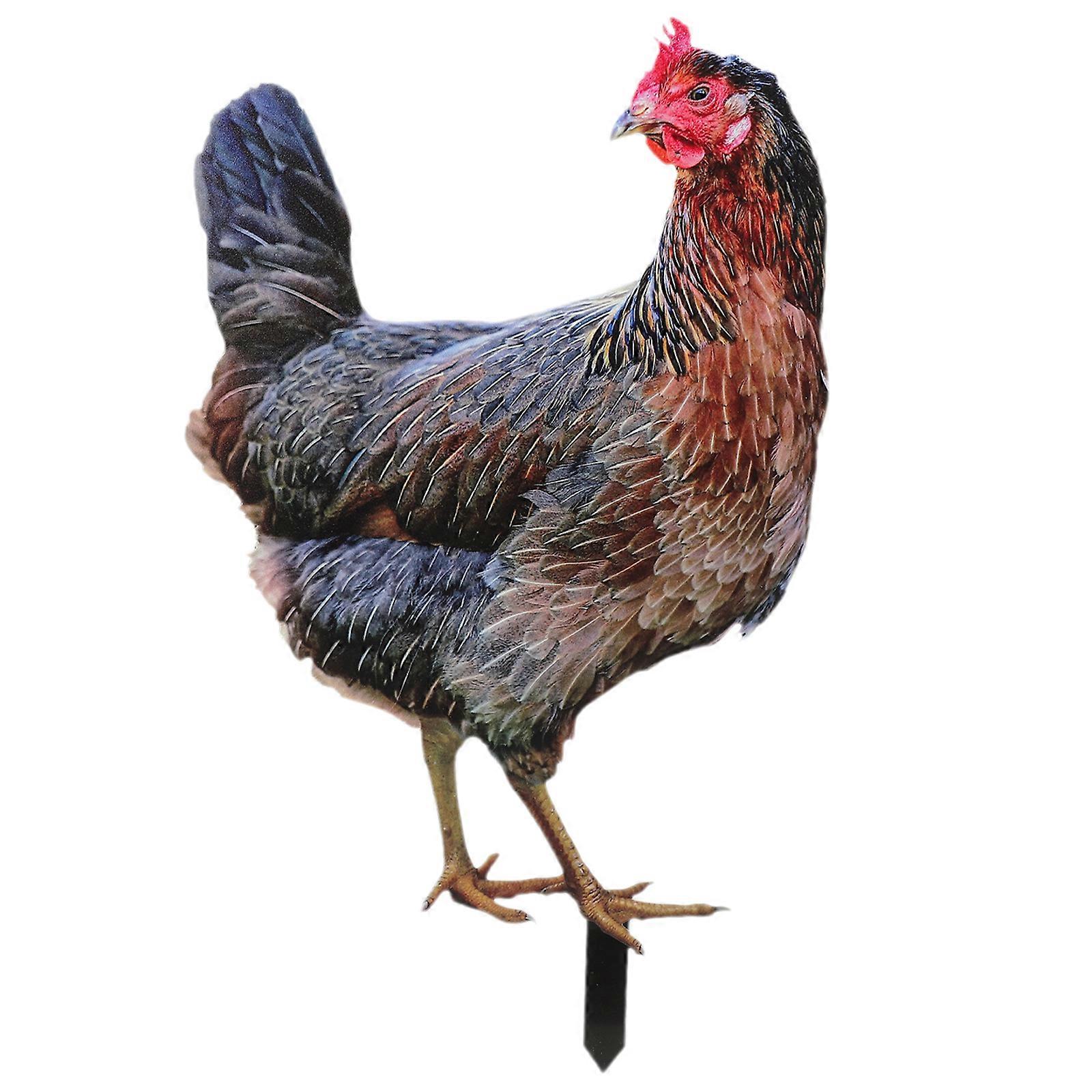 Delicate Garden Chicken Stake for Decor Acrylic Suitable for Modern and Rustic Style 6.5 Inches
