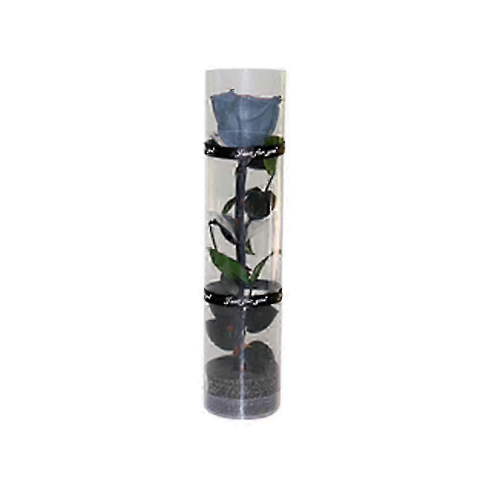 Véritable rose préservée et éternelle, floraison durable et éternelle