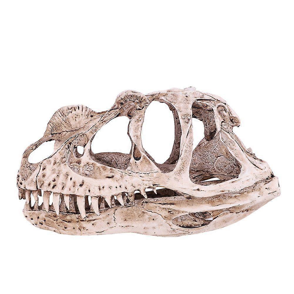 Resin Dinosaur Skull Model Simulated Animal Skeleton Home Office Decor Craft Teaching Prop