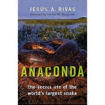Anaconda The Secret Life of the Worlds Largest Snake