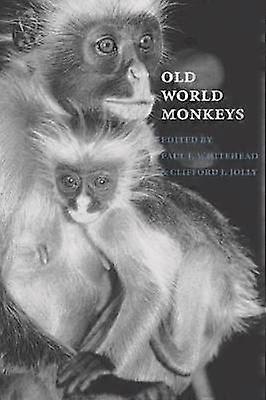 Old World Monkeys