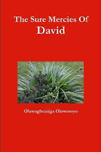 Davids sikre barmhjertighet