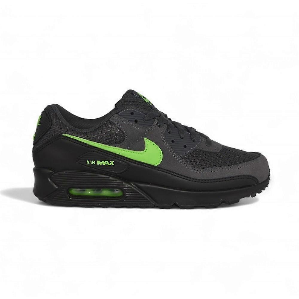 Shoes Nike Air Max 90 DM0029015