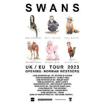 Swans UK Europatournee 2023 Puzzle-Knobelspiel ZA1376