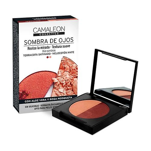 Terracotta-peach duo eyeshadow 2 units of 2.3g