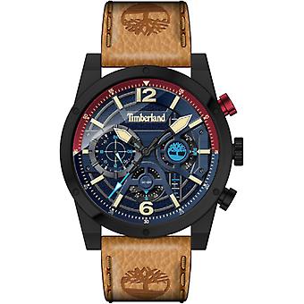 Sherbrook Men's Analog Quartz Watch with Cowhide Bracelet TDWGF2100003