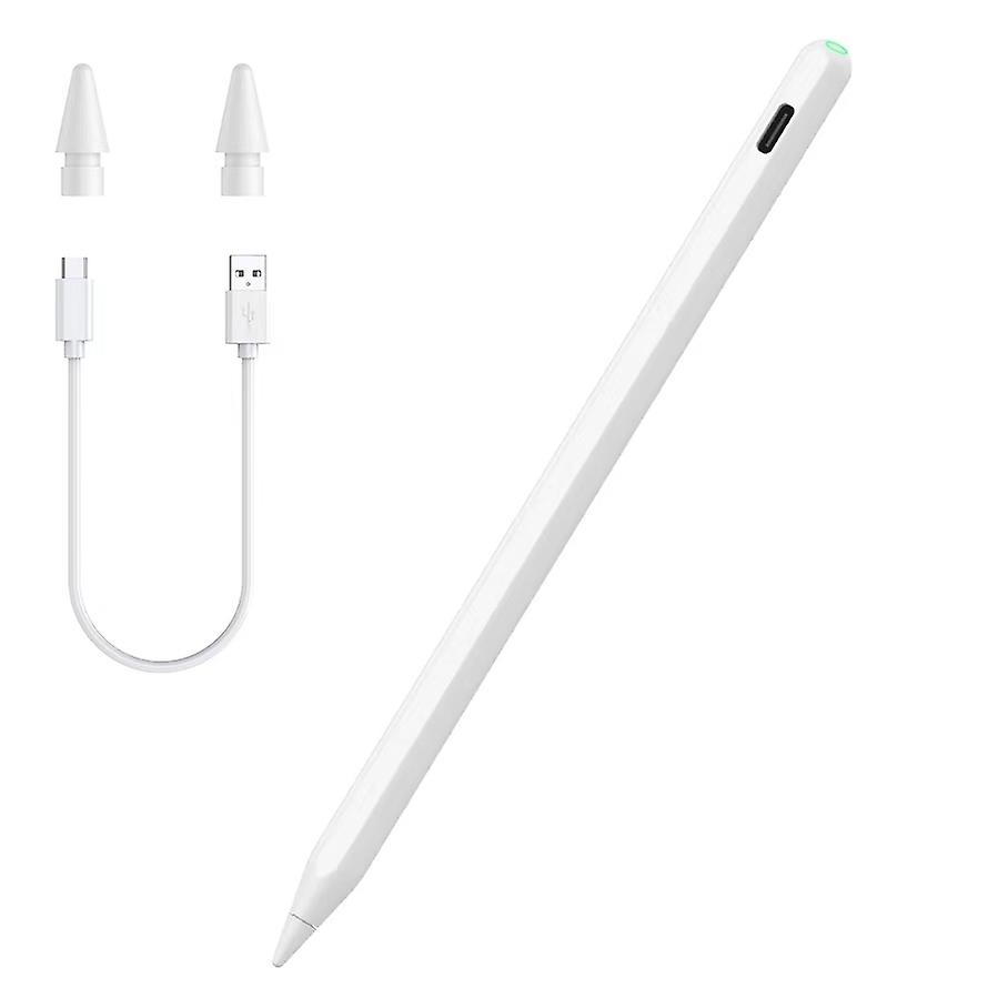 Stylus Pen with Replacement Tips for iPad Pencil