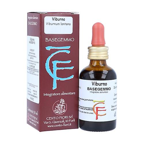 Viburnum Basegemmo 30 ml