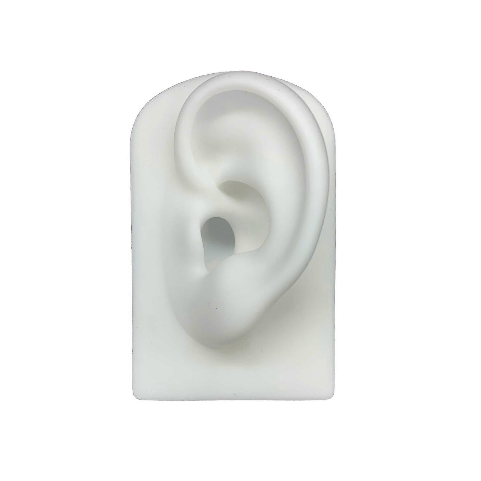 Soft Silicone Ear Model Suitable for Hearing Aids 1:1 Human Ear Display Model