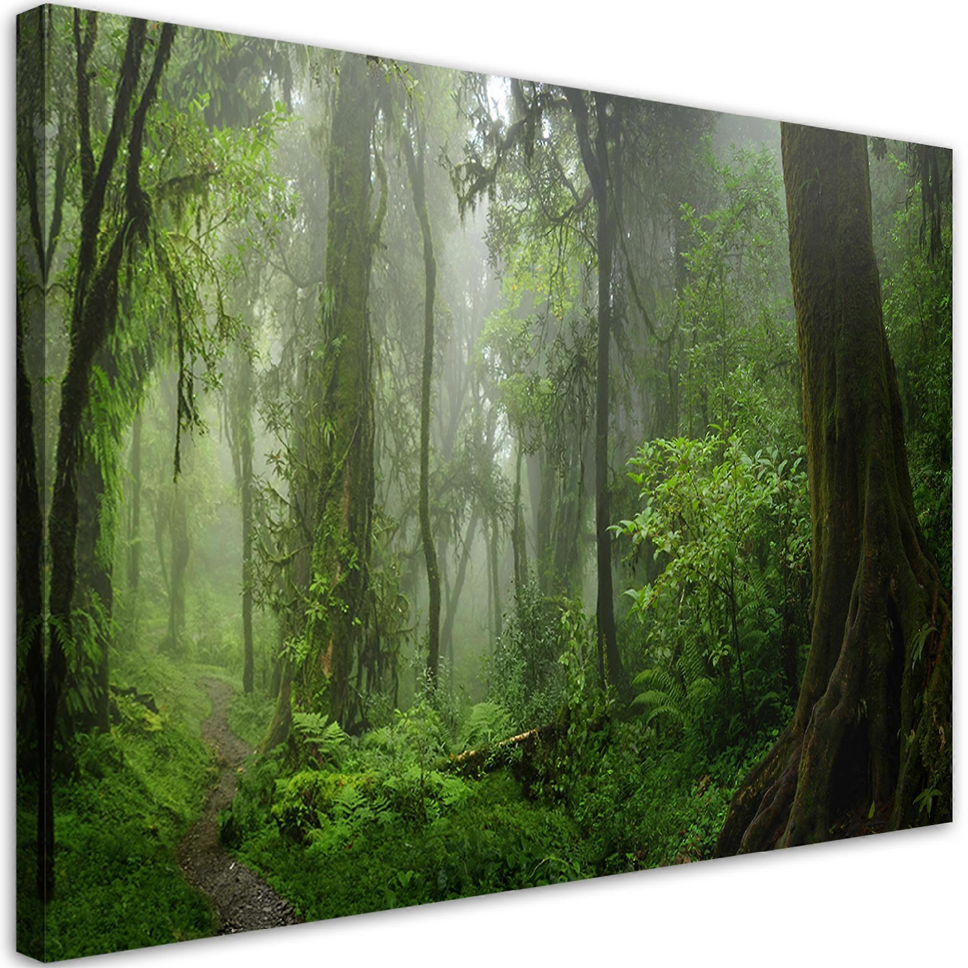 Impression sur toile, Forêt tropicale jungle - 120x80