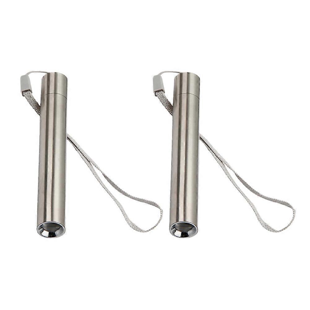 Fluorescent Detection Lamp 2Pcs High Brightness Detection Tool For Home Use In Silver Color With