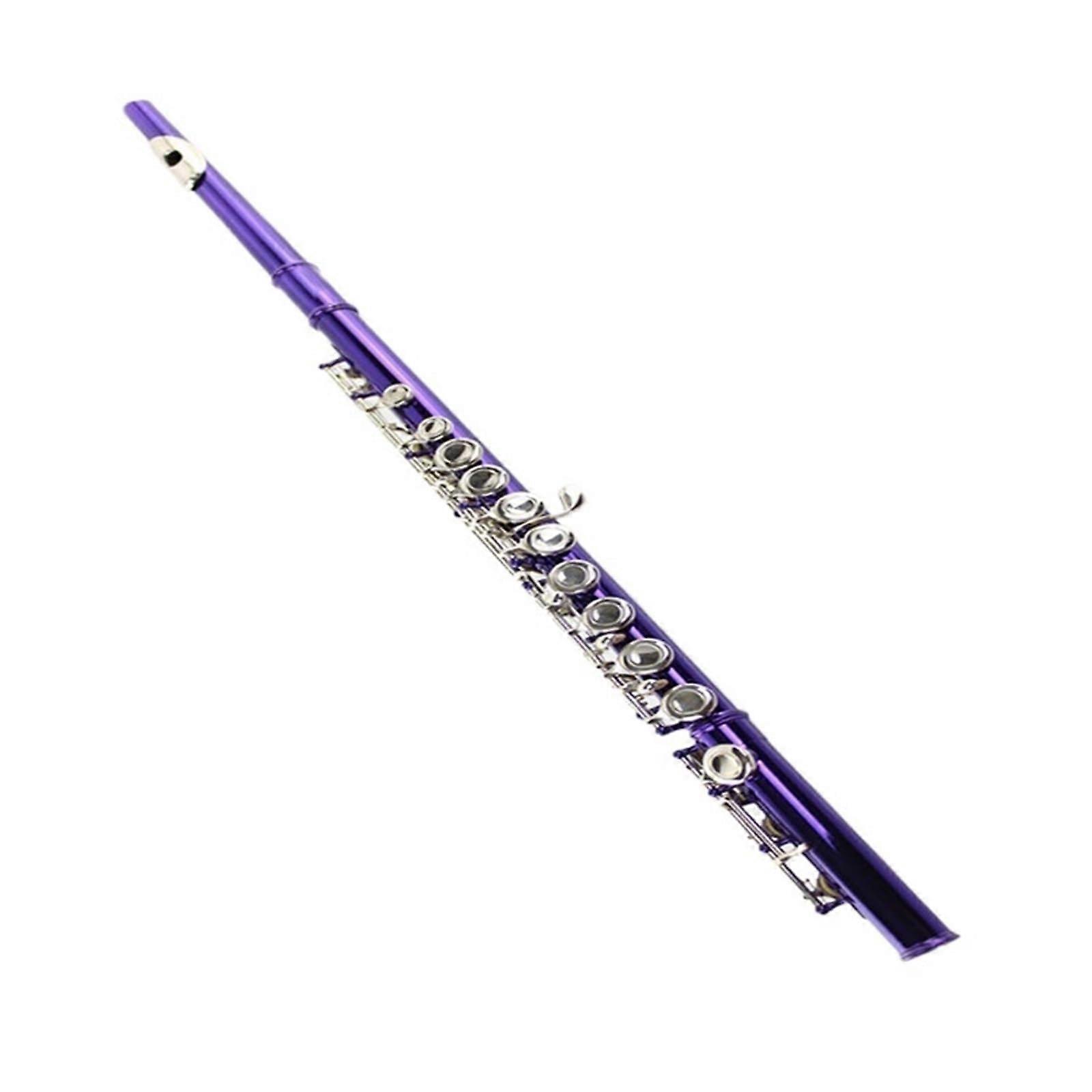 Flute 16-Hole Closed-Hole, C Key, B Foot Joint, Purple Lacquer Finish