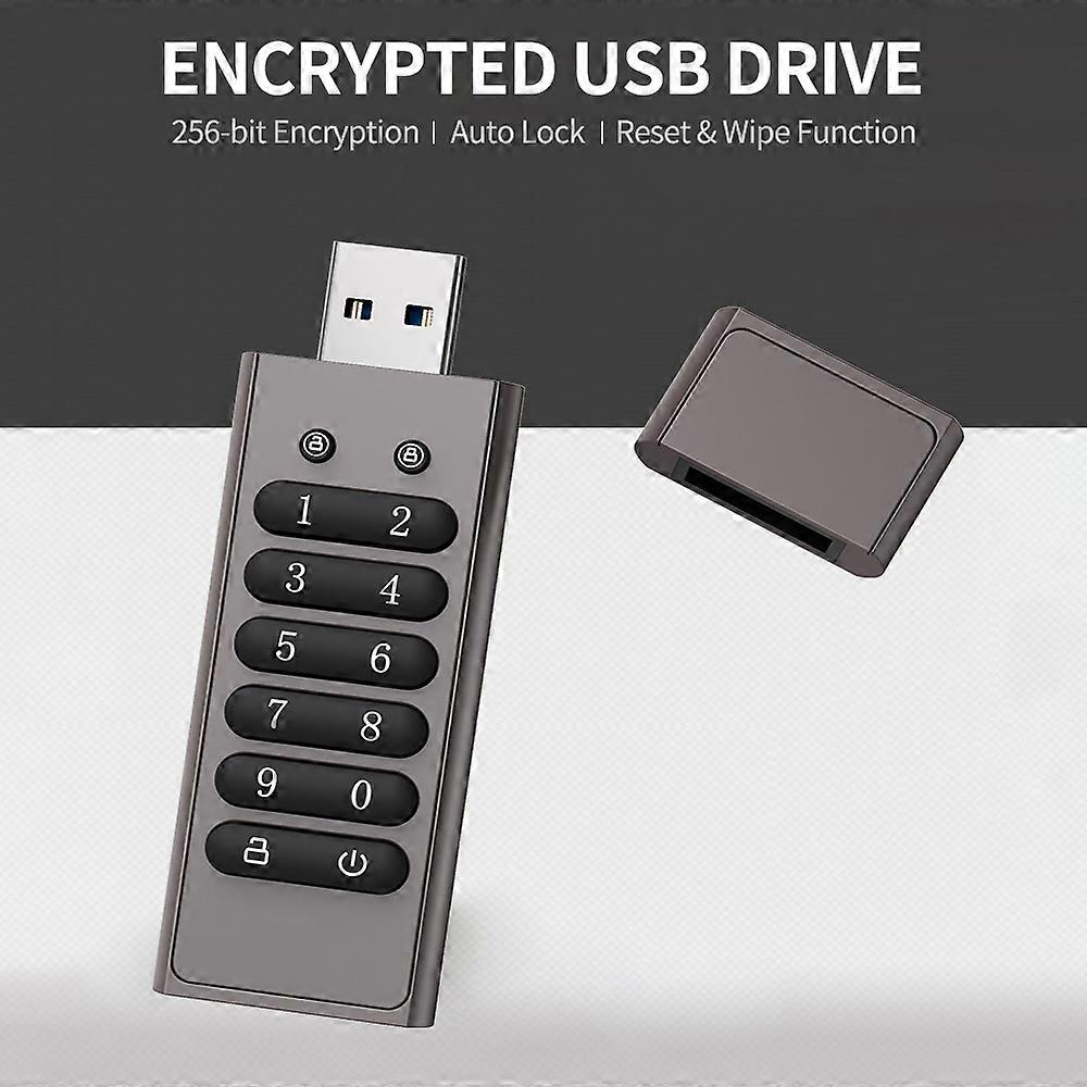 128GB 256-bit Encrypted USB Drive Password Secure Flash Drive USB3.0 U Disk Support Reset/Wipe/Auto Lock Function, Grey