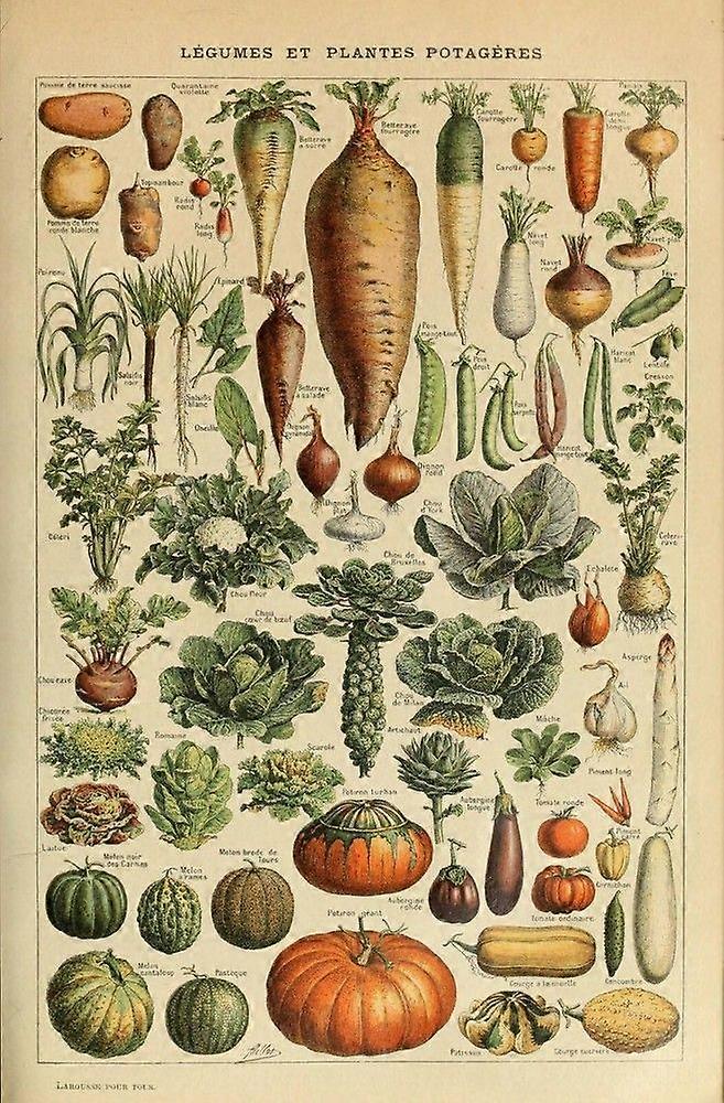Vintage Vegetables ChartStress Reliever Jigsaw Puzzle UE 0849