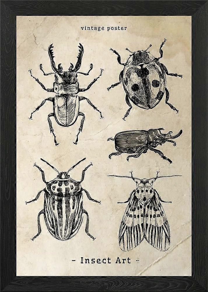 Rompecabezas de insectos H0143