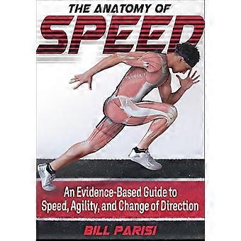 Die Anatomie der Geschwindigkeit