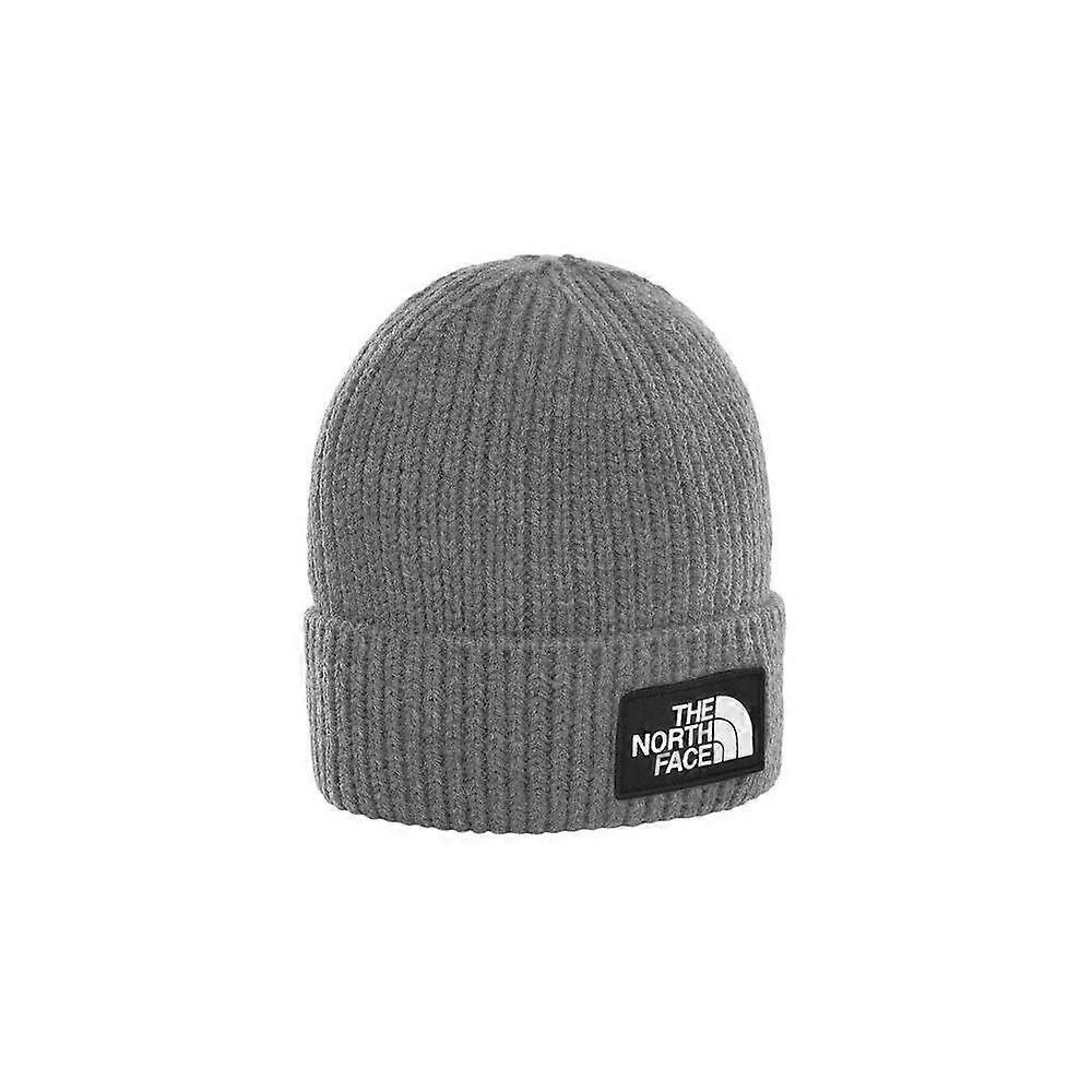 Caps The North Face Tnf Logo Box Cuff NF0A8CHEDYY
