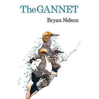 Gannett - Bryan Nelson