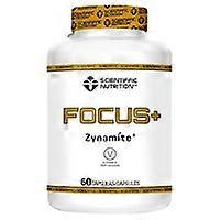 Focus + concentration 60 capsules