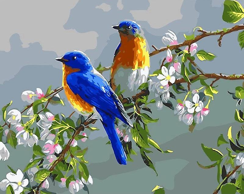 Birds Paint By Numbers Kit 1