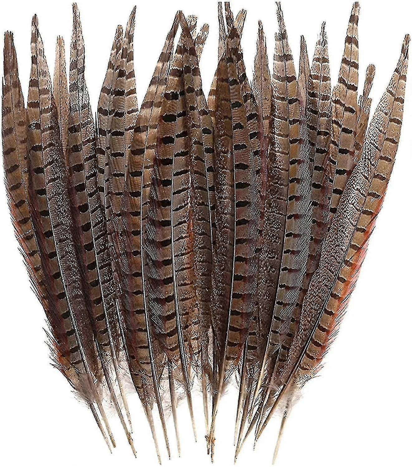 2024 30 Pcs Natural Pheasant Feathers,diy Pheasant Tails Feather,15-28 Cm Soft Native Plume For Hair Hats Crafts Party Decoration ,natural Color