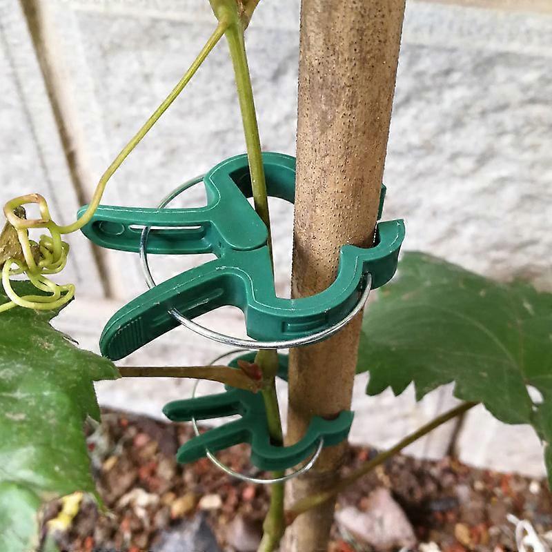50 Green Plant Clips Size M - Climbing Aid for Climbing Plants on Spiral Stake or Bamboo Stake - Clips for Gardening and Vegetable Patching