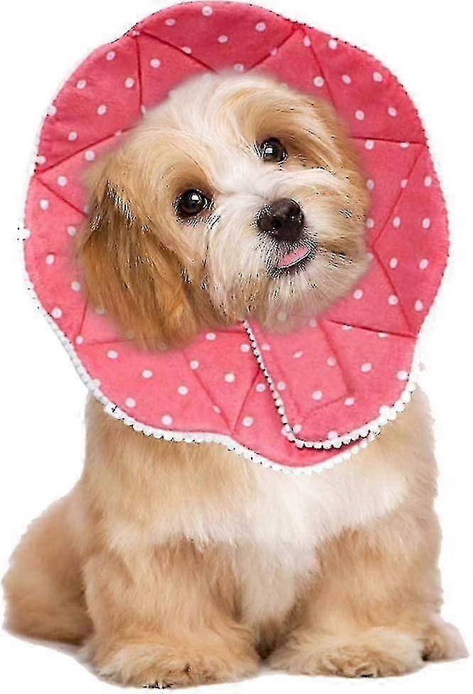 Collier postopératoire confortable pour chat et chien, robuste, imperméable, facile à nettoyer, avec clips réglables