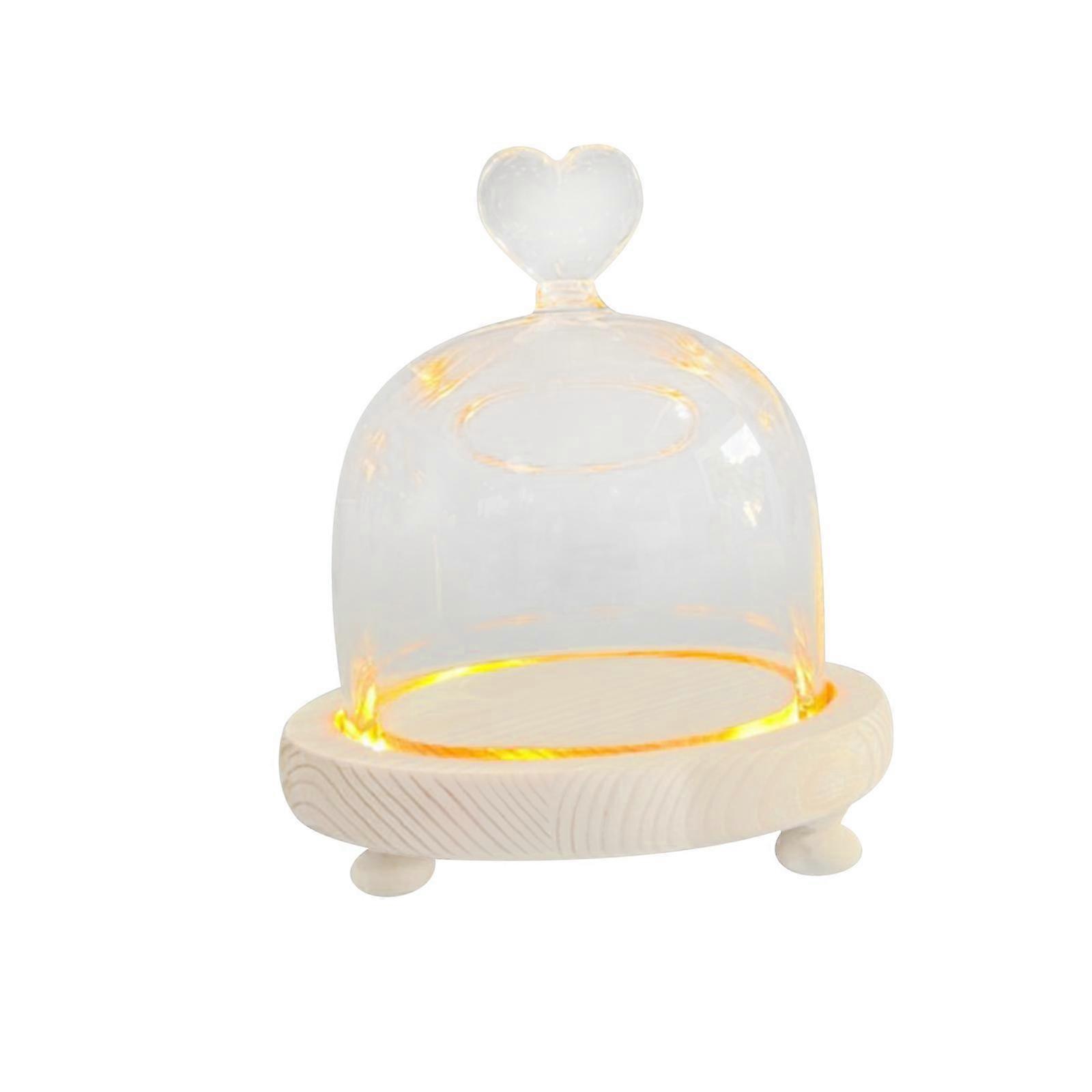 Glas Cloche Dome Cloche Dome DIY Behälter Blumendeckel Display Glas Etui Nordic