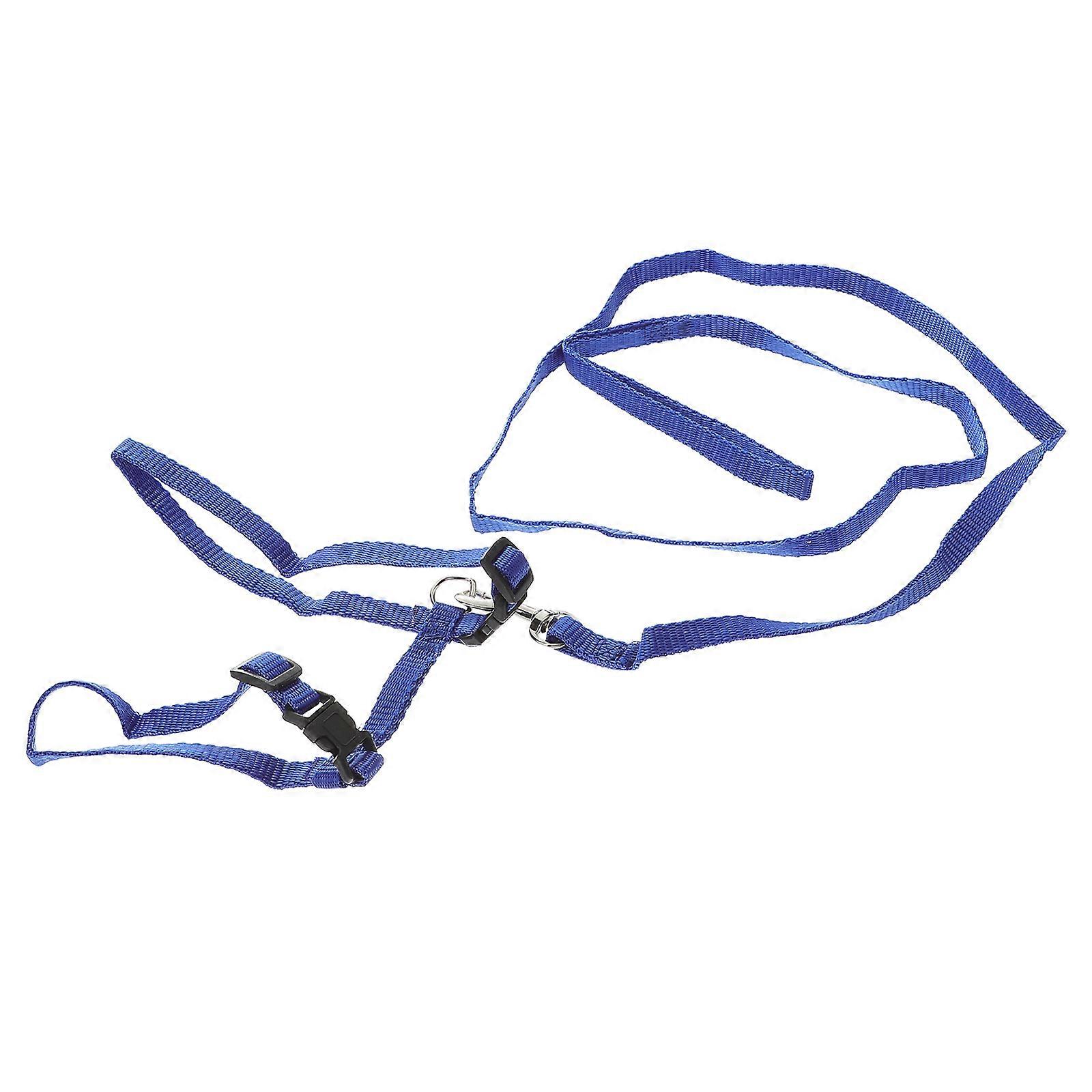 Rabbit Activity Leash, Designed for Safe and Enjoyable Walks
