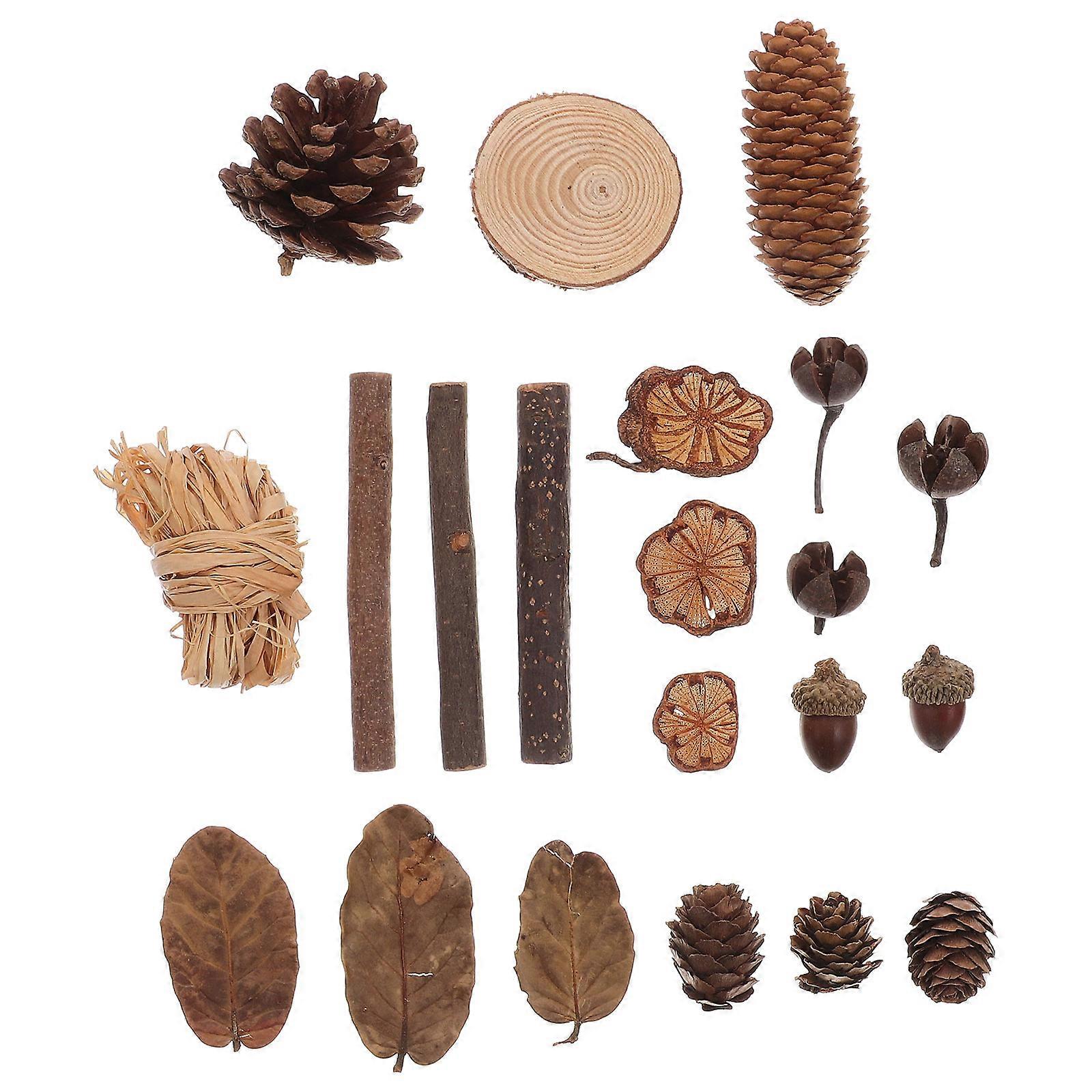 Thanksgiving Tree Decorations Rustic Dried Fruit and Flower Set Home Decor Multi 10.30X1.00X1.00CM Photography Props 1Set