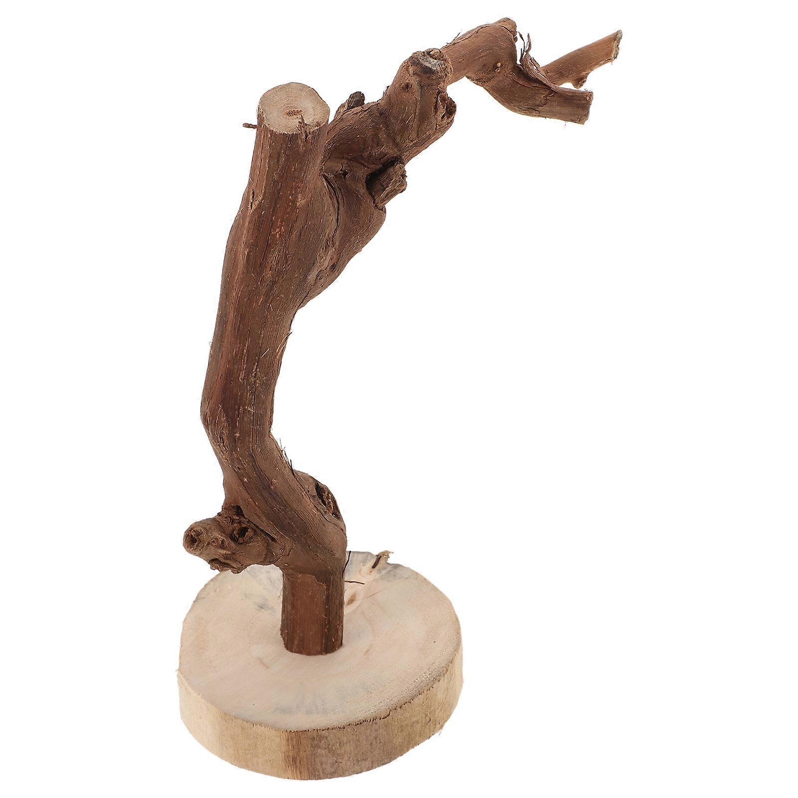 Natural Parrot Perch Stand – Durable & Safe Bird Training Stand for Interactive Play, Chewing and Playing Accessory for Parrots and Budgies