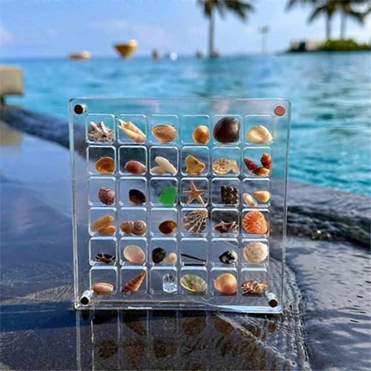 2PCS Acrylic Magnetics Seashell Display Box Grids Clear Acrylic,B