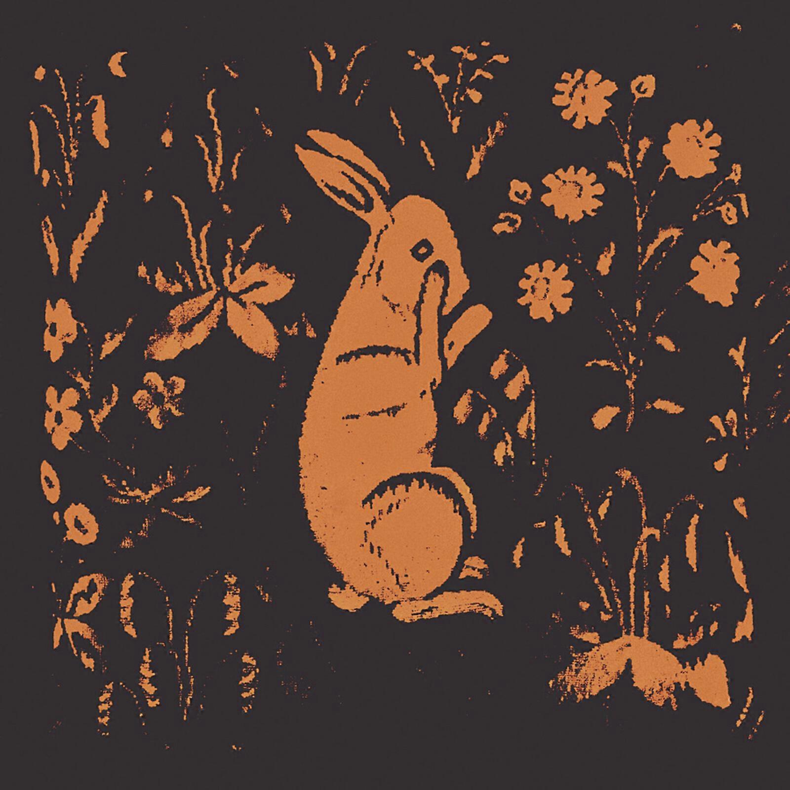 Sadness - ______ (aka Rabbit) [VINYL]