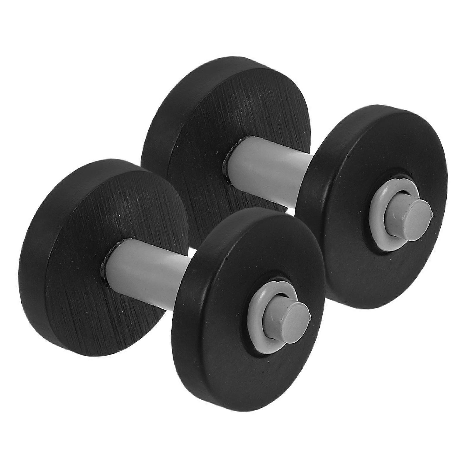 Micro Landscape Miniature Dumbbell for Decor 2Pcs Detailed Plastic Model