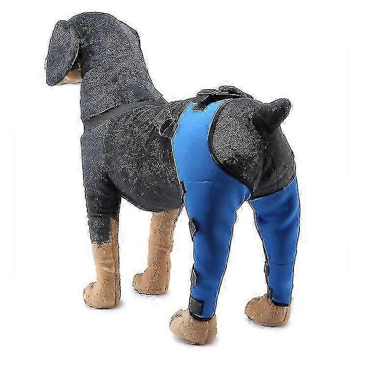 Canine Knee Protection Brace for Double Rear Legs, ACL and Dislocation Support