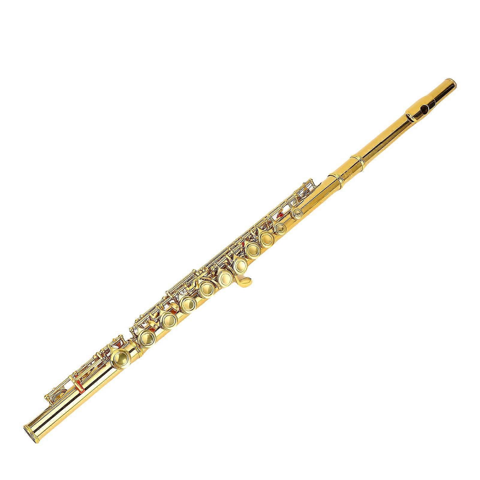 Beginner C Flute with Split E Key, 16 Key Closed Hole Golden Cupronickel Student Flute for Kids