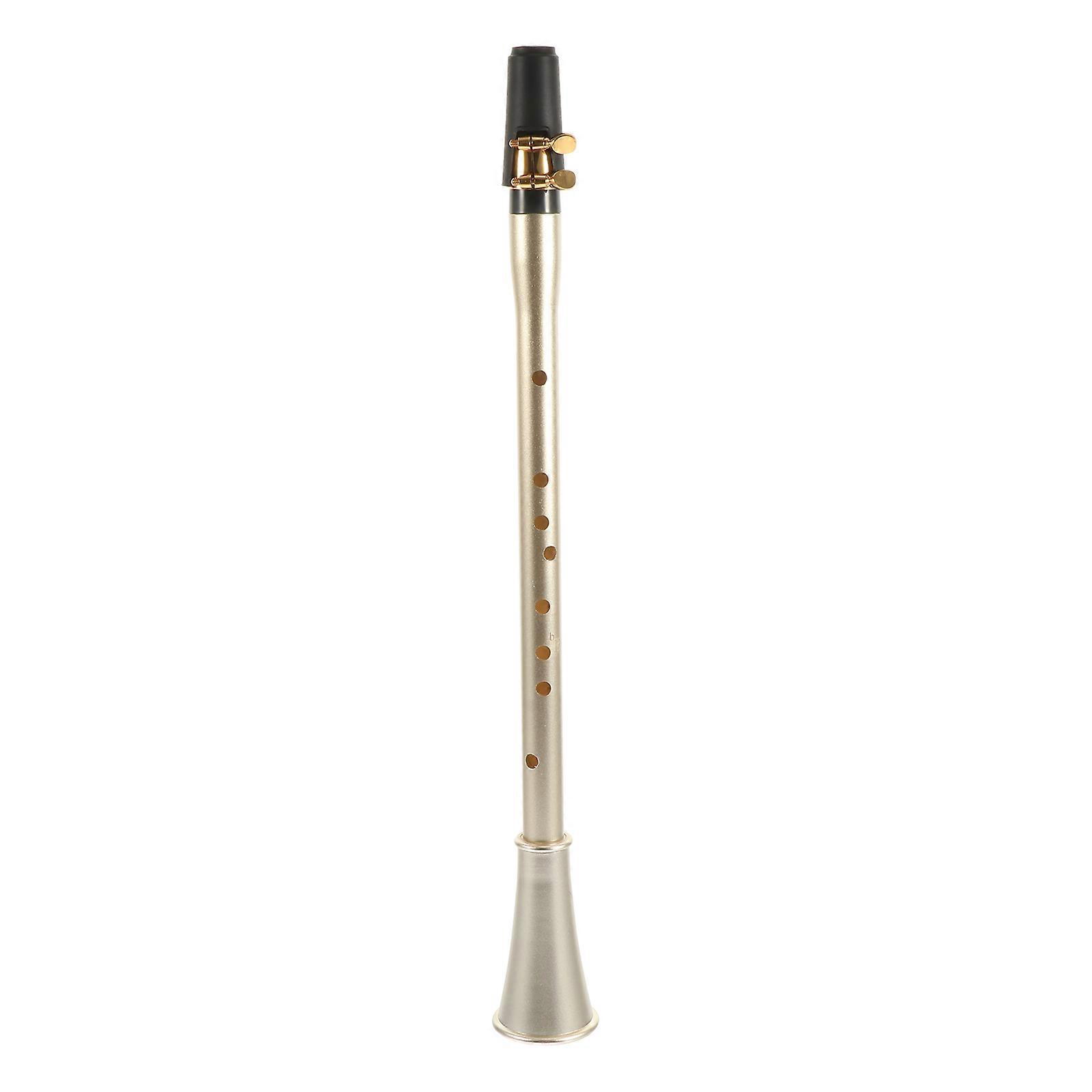 Wind Instrument Clarinet for Practice Professional Beginner Clarinet