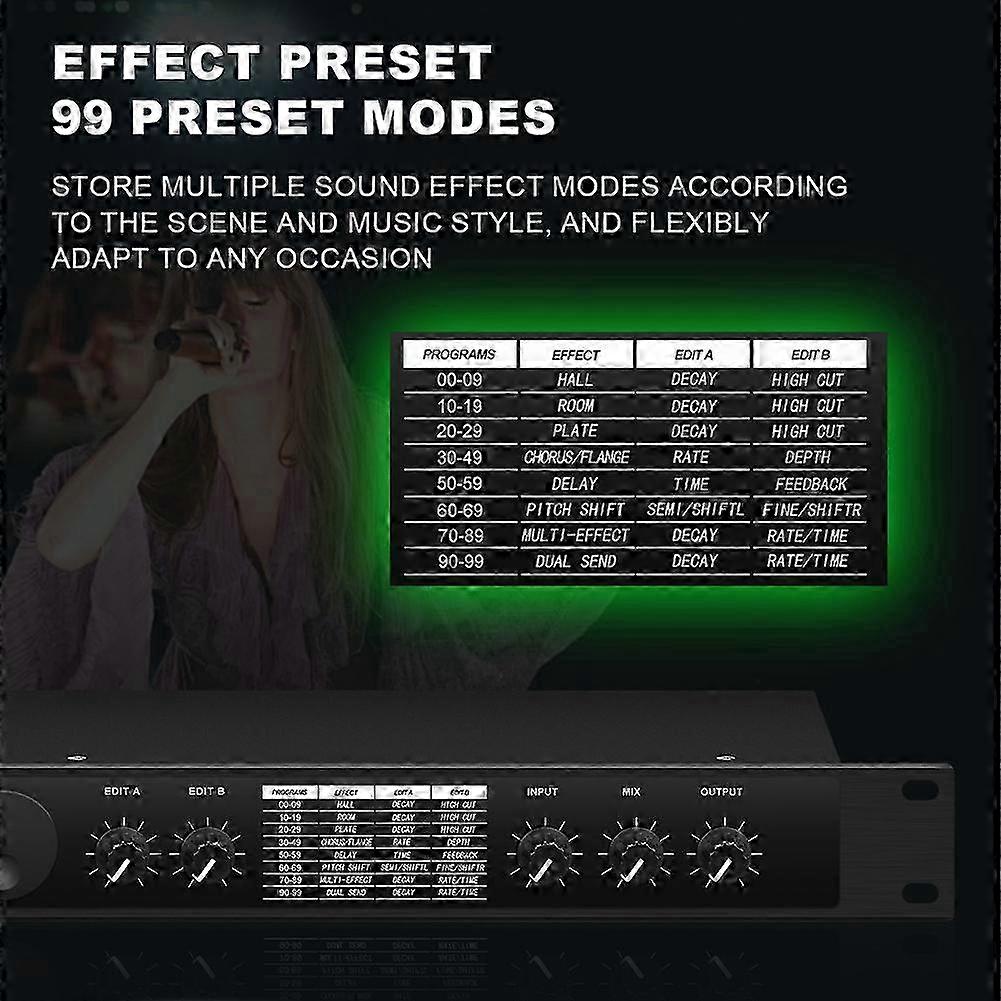Professional Digital Reverberation Multi Effect DSP Processor Audio Processor Equalizer US PLUG