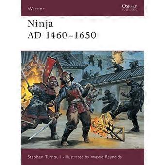 Ninja AD 1460-1650 (Guerrero)