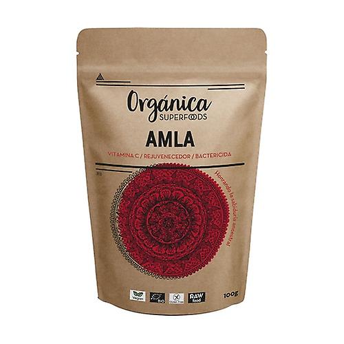 amla 100 g of powder