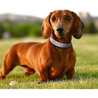 Newtensina 2er Set Hundehalsband – Mit Strass, Wildleder, Für Kleine Hunde & Katzen