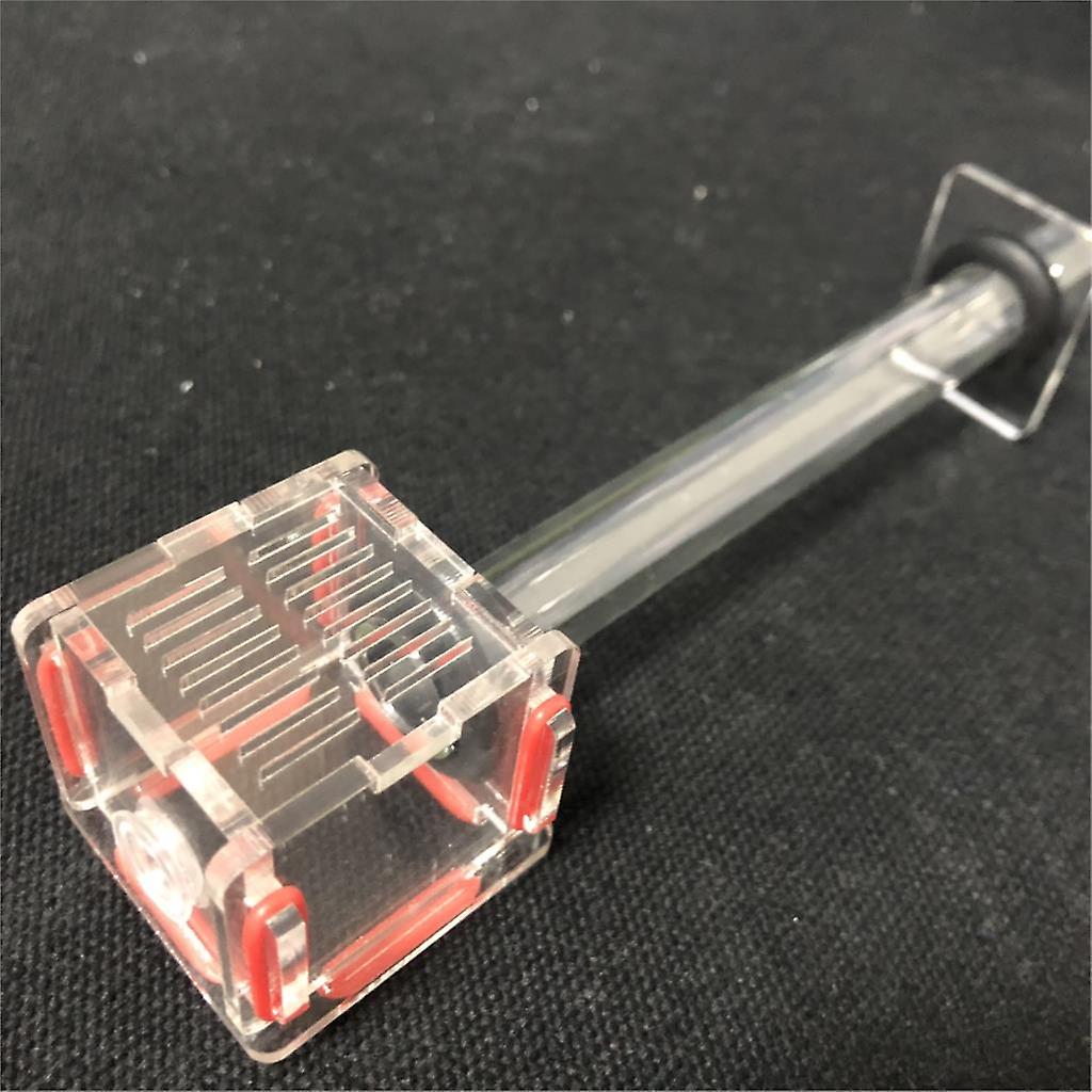 Ant Farm Acrylic Plane Nest