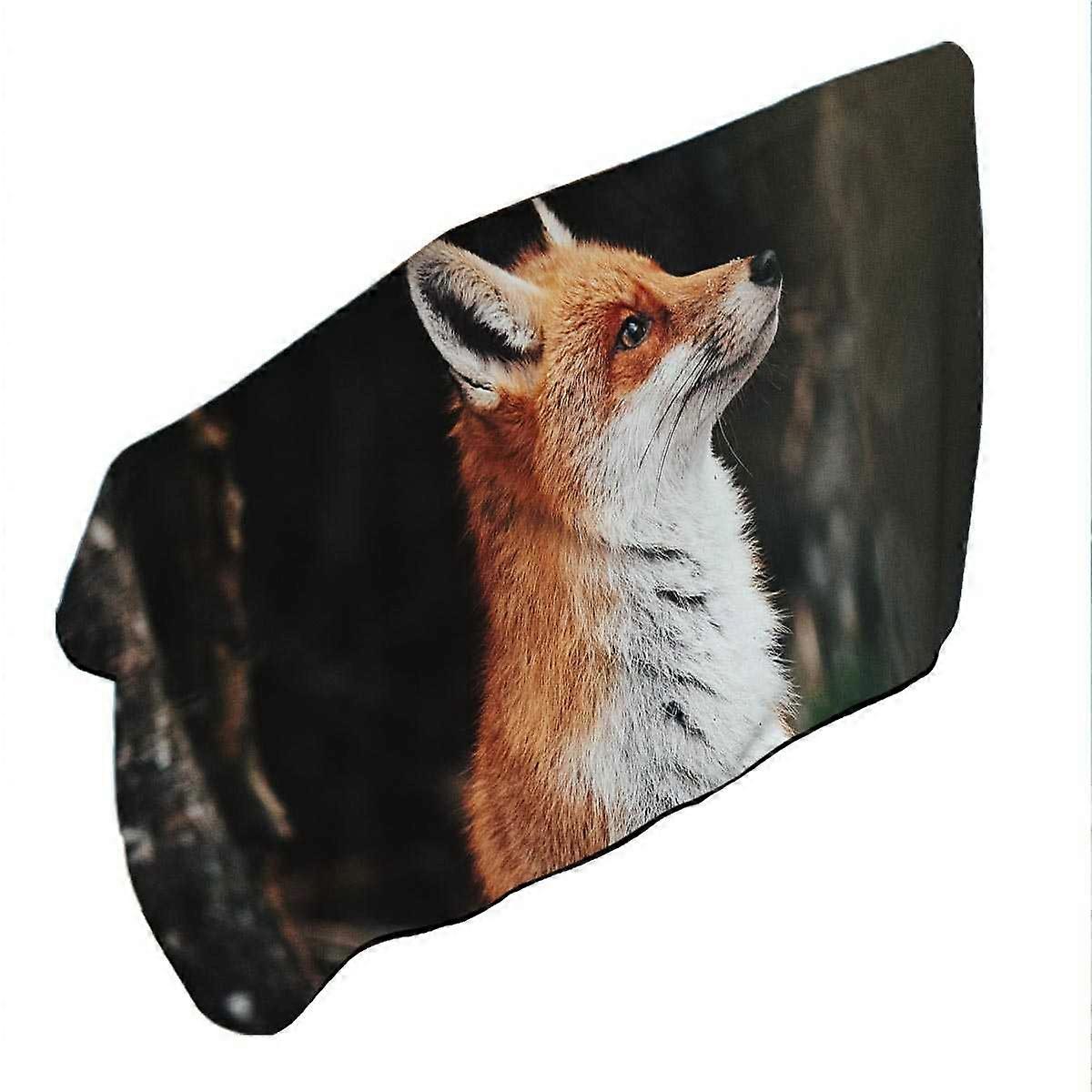 Beautiful Fox Microfiber Beach Towel