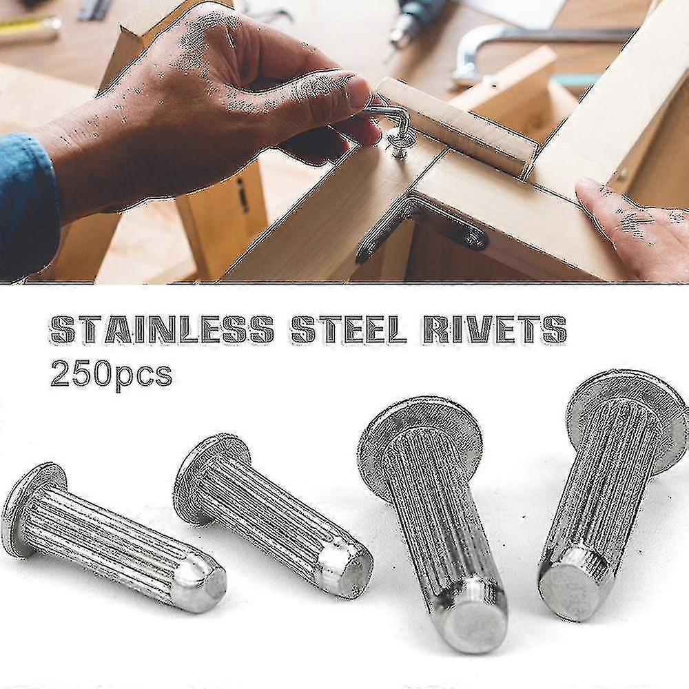250pcs Solid Rivets Set Stainless Steel Knurled Rivets Iron Half Round Rivets