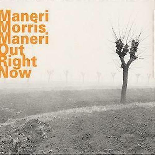 Joe Maneri : Out Right Now CD (2001)