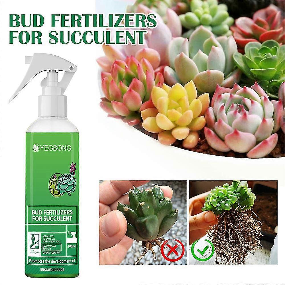 YEGBONG 다육 식물 새싹 비료 식물 영양 용액 다육 식물 잎-3699454022415