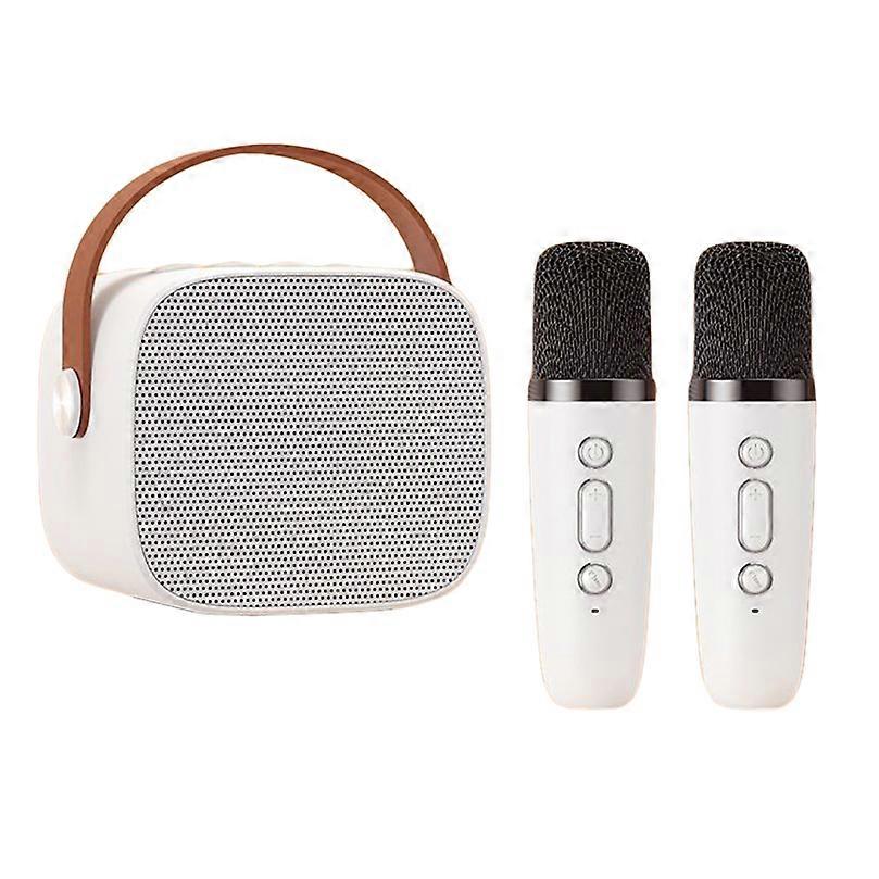 Přenosný karaoke stroj Bluetooth reproduktor s 2 bezdrátovými mikrofony pro děti dospělé